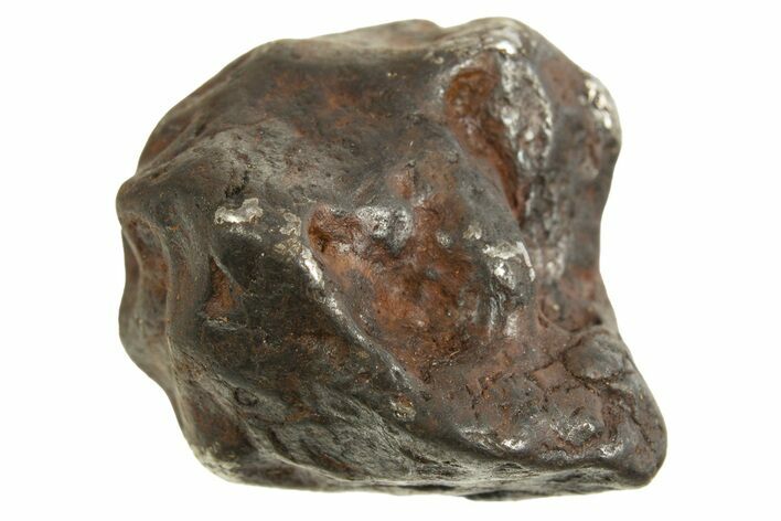 Canyon Diablo Iron Meteorite ( g) - Arizona #335951